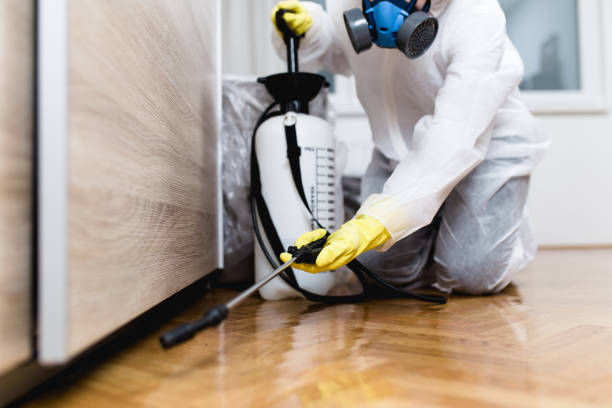 Best Cockroach Control Services  in Olivarez, TX