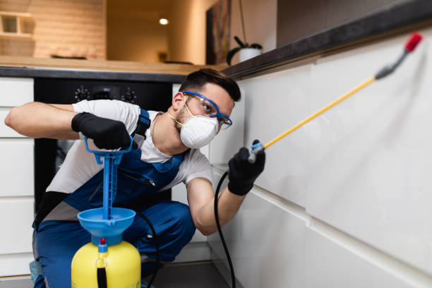 Best Affordable Pest Control Services  in Olivarez, TX
