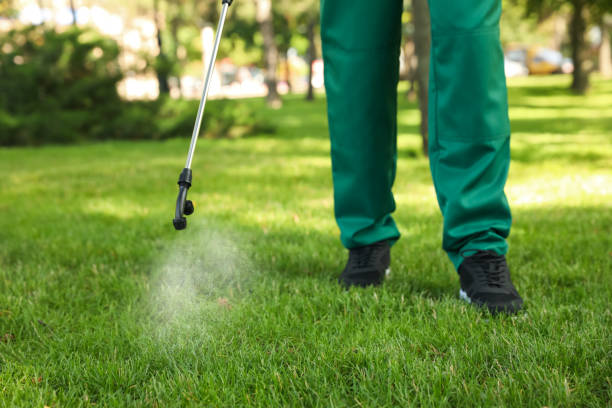 Best Exterminator Services  in Olivarez, TX
