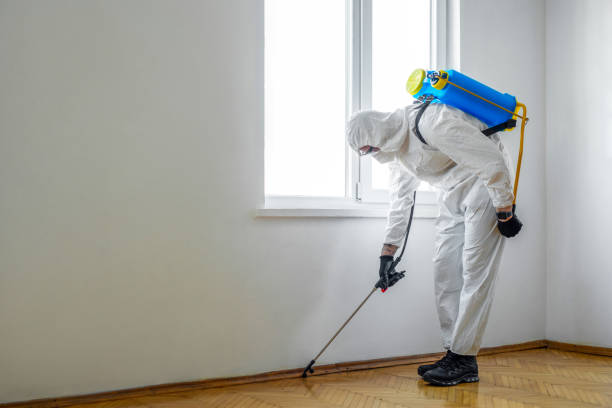 Best Commercial Pest Control Services  in Olivarez, TX