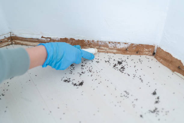 Pest Control for Restaurants in Olivarez, TX